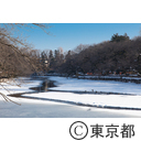 井の頭恩賜公園 かいぼり中の雪