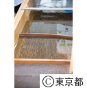 東京都奥多摩さかな養殖センター
