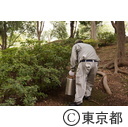 都立青山公園（デング熱・蚊の駆除）