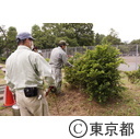 都立青山公園（デング熱・蚊の駆除）
