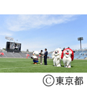 ラグビーワールドカップ２０１９TM大会５００日前イベント