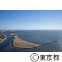 空撮（葛西臨海公園）