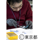 視察（就労移行支援・就労継続支援B型事業所「PC工房」）作業風景