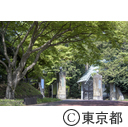 国立天文台