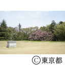 国立天文台（天文機器資料館・周辺）