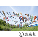 第30回長房ふれあい端午まつり
