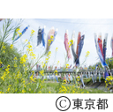 第30回長房ふれあい端午まつり