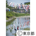 第30回長房ふれあい端午まつり