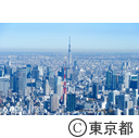 空撮（東京タワーと東京スカイツリー）