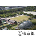 空撮