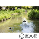 宝来公園