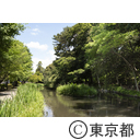 宝来公園
