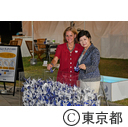 視察（Festival dete ODAIBA 2019）