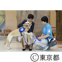都立病院視察（ファシリティドック）