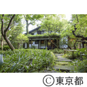 はけの道の風景(美術の森緑地)