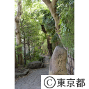 はけの道の風景（はけの小路）