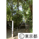 はけの道の風景（ムジナ坂）