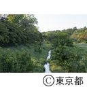 はけの道の風景（野川）