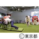 ラグビーワールドカップ2019ファンゾーン知事の事前視察・東京都スポーツスクエア