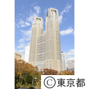 新宿中央公園からの都庁舎