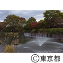 都立武蔵国分寺公園