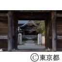 都立武蔵国分寺公園