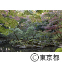殿ヶ谷戸庭園