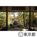 殿ヶ谷戸庭園