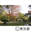 殿ヶ谷戸庭園
