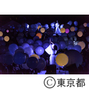 TTF Light and Sound Installation「Coded Field」