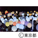TTF Light and Sound Installation「Coded Field」