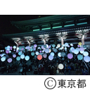 TTF Light and Sound Installation「Coded Field」