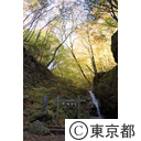 御岳山紅葉