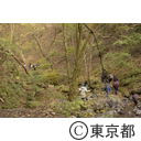 御岳山紅葉