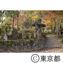 御岳山紅葉