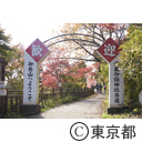 御岳山紅葉