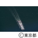 空撮