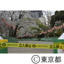 上野恩賜公園のお花見エリア封鎖（新型コロナウイルス感染症による影響）