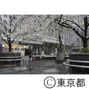 雪の渋谷