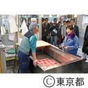 豊洲市場水産仲卸売場体験