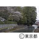 酒造場の上水石垣と玉川上水