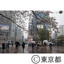 新型コロナウイルスによる影響
