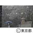 新型コロナウイルスによる影響