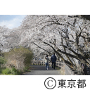 福生の風景（多摩川遊歩道）