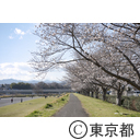 福生の風景（多摩川遊歩道）