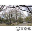 憲政公園