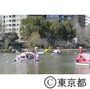 不忍池