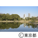 浜離宮恩賜庭園
