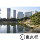 浜離宮恩賜庭園