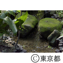 はけの森美術館の庭園